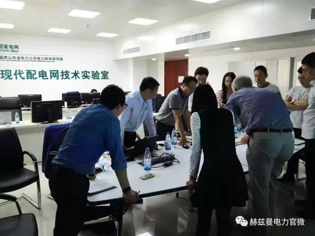 配網(wǎng)技術(shù) 配網(wǎng)技術(shù)