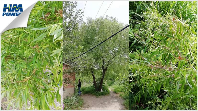 IPS小電流接地故障檢測裝置 IPS小電流接地故障檢測裝置